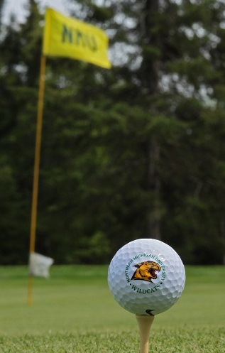 Golf Ball with Flag