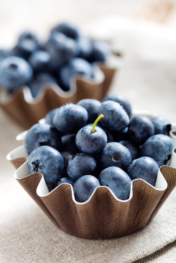 Blueberries in Baking Tin